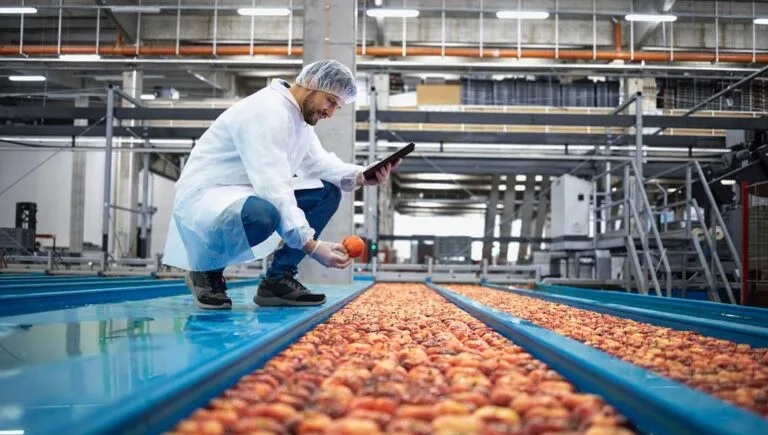 بازاریابی دیجیتال برای صنعت فرآوری مواد غذایی