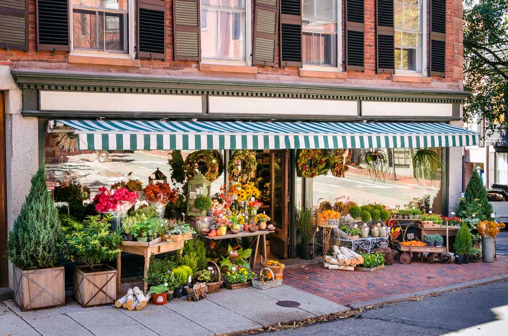 تولید محتوا در زمینه گل و گیاه و باغبانی با 4 ایده جالب