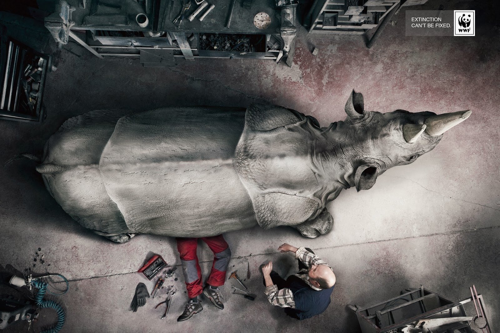 یک پرسپکتیو بصری غیرمنتظره انتخاب کنید